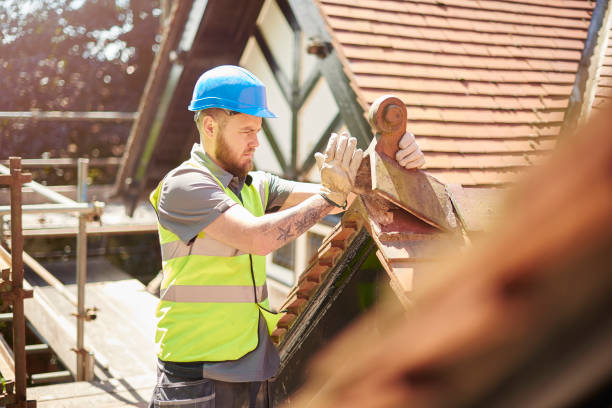 Best Roofing Contractor Near Me  in Berrien Springs, MI
