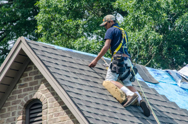 Best Residential Roof Replacement  in Berrien Springs, MI